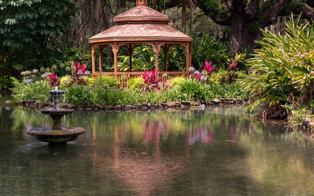 Friday Feature: Washington Oaks Gardens State Park