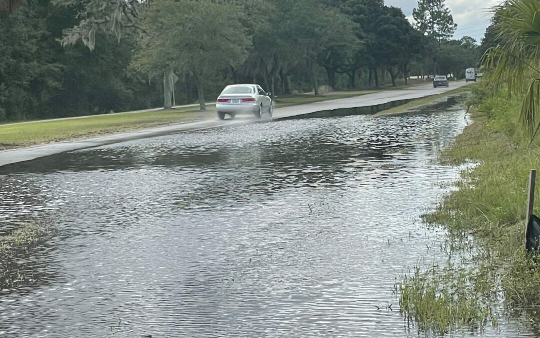 A white sedan navigates a flooded rural road in Palm Coast, surrounded by trees under a cloudy sky. The water covers most of the road, reflecting the cloudy sky and nearby vegetation—a scene capturing current Flagler County news.