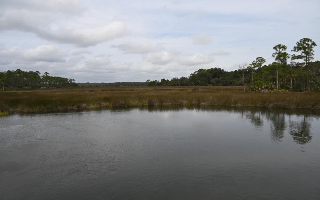 A serene nature scene in Flagler County features a calm river in the foreground with grassy wetlands and tall trees in the background. The sky is overcast, with clouds scattered, suggesting an early morning or late afternoon setting near Palm Coast.