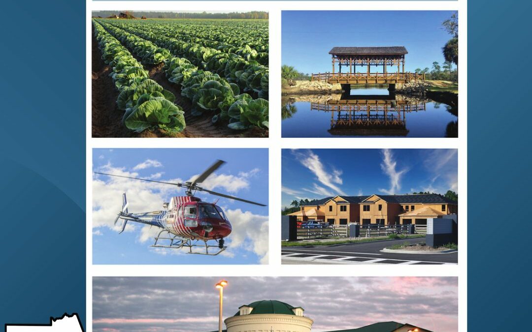 A poster titled "Flagler BOCC Strategic Plan 2022". It features images of a vegetable field, a lakeside gazebo, a helicopter flying, a new building complex in Palm Coast, and a government building. The Flagler County, Florida logo is on the bottom left corner.