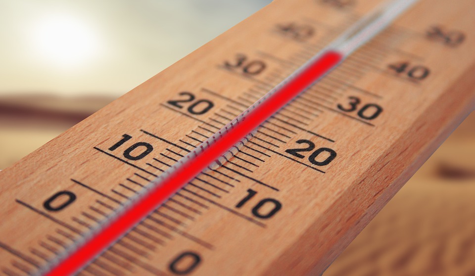 A close-up of a wooden thermometer indicating a high temperature of around 28 degrees Celsius. The background features a blurred image of Palm Coast's desert landscape under a clear sky, capturing the typical warmth of Flagler County.