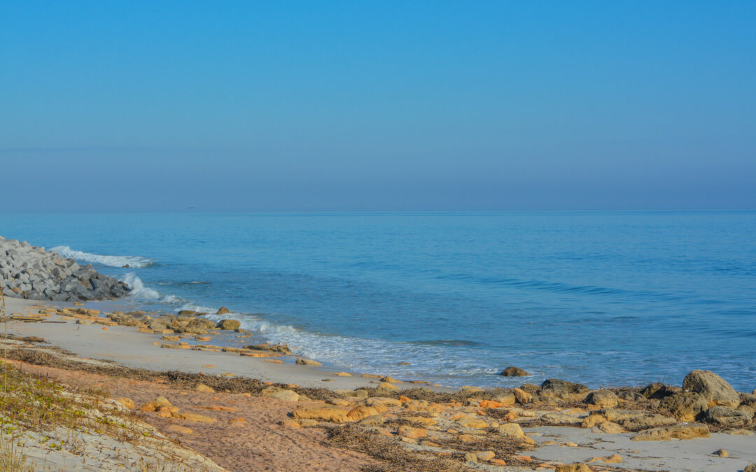 A serene beach scene in Flagler County shows a sandy shore scattered with rocks. Gentle waves wash up on the Palm Coast shore, and the ocean stretches into the distance under a clear blue sky, meeting the horizon seamlessly. Some vegetation is visible in the foreground.