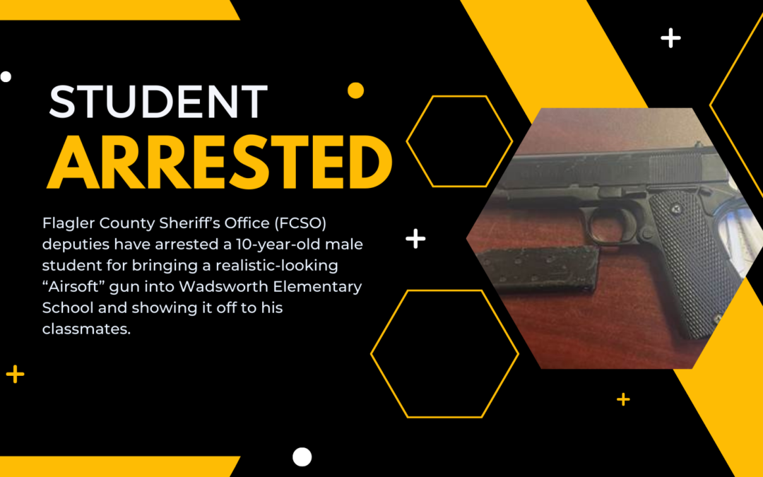 FCSO Feature Wadsworth Student Arrested