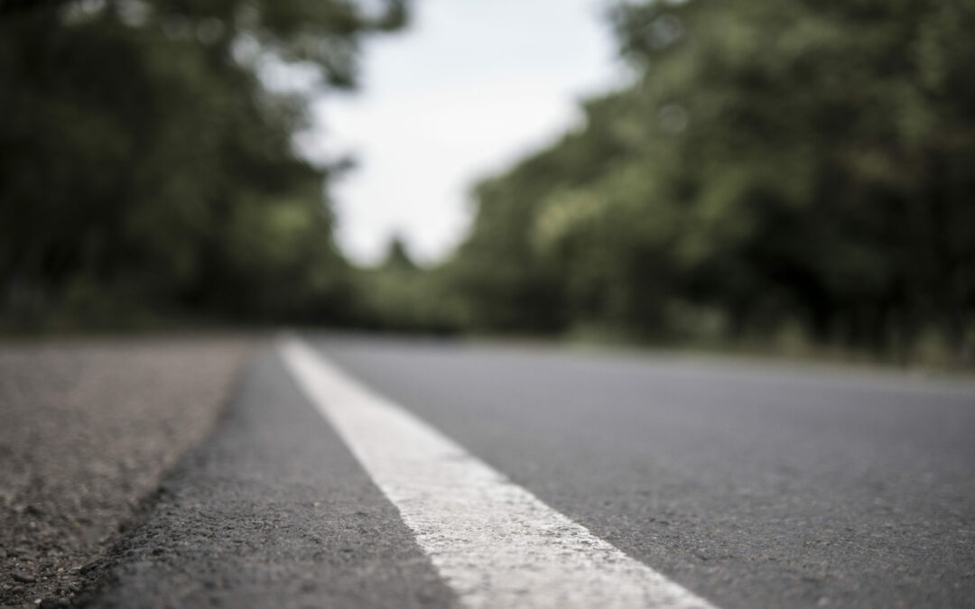 summer road trees dividing line scaled