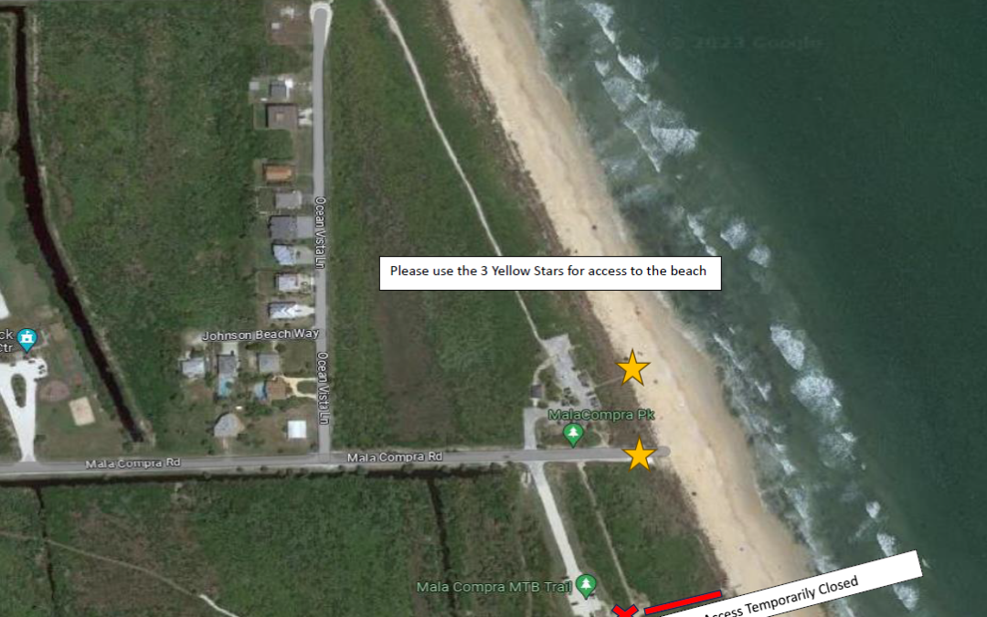 Flagler County urges nighttime beachgoers to use MalaCompra Road access or north parking lot during turtle-hatching season