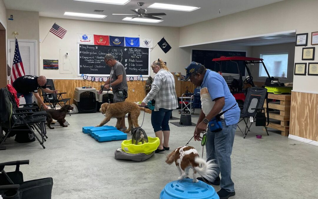 Old Glory Service Dogs: Helping Veterans and First Responders Obtain Service Dogs