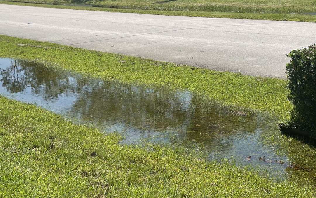 City of Palm Coast Announces Stormwater Town Hall Meeting