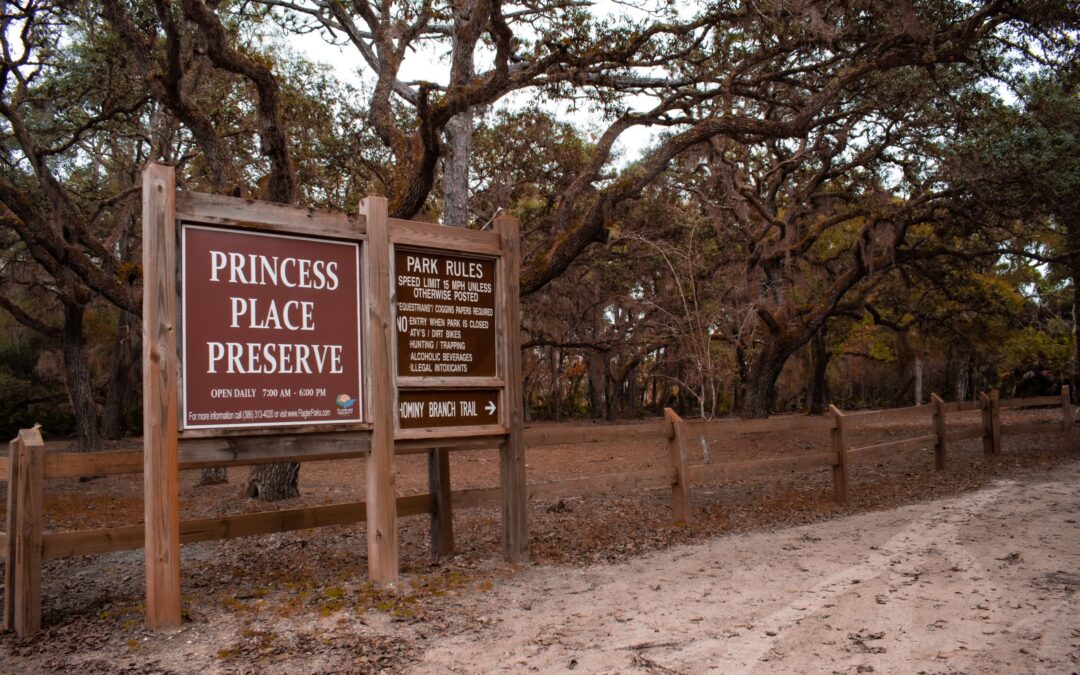 Upcoming ‘Walk in the Park in the Woods’ slated for March 14 at Princess Place Preserve on the Hominy Branch