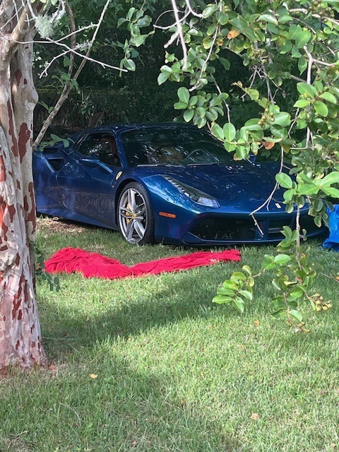 A blue sports car is parked on grass, partially obscured by a tree and foliage A red cloth or blanket is spread out in front of the car The setting appears to be in a grassy, wooded area