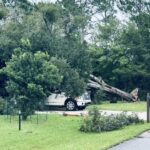 A white SUV is parked in a driveway with a large tree fallen on its hood The surrounding area includes lush green grass, other small trees, and a forested background A branch and some debris are scattered on the ground in front of the vehicle