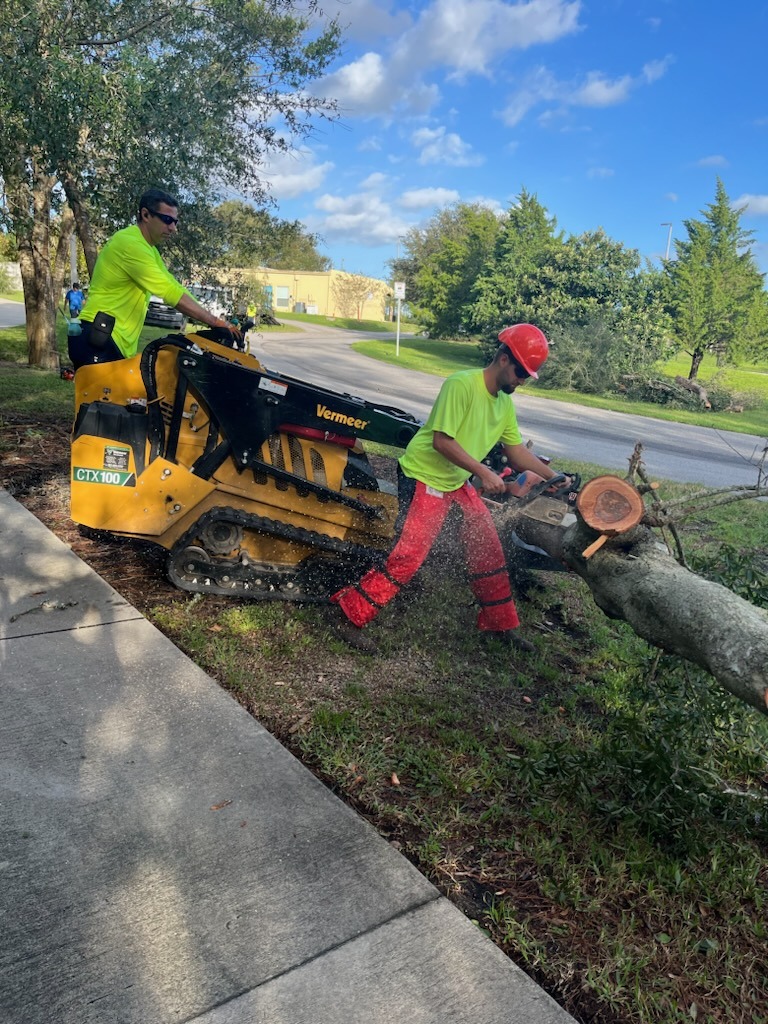 Two workers in bright safety clothing are cutting a fallen tree branch One is operating a small Vermeer skid steer loader, and the other is using a chainsaw They are next to a sidewalk under a partly cloudy sky