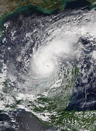 A satellite view of a swirling hurricane over the ocean The storm's eye is clearly visible at the center, surrounded by dense cloud formations The land is visible at the top and bottom edges of the image, indicating proximity to a coastline