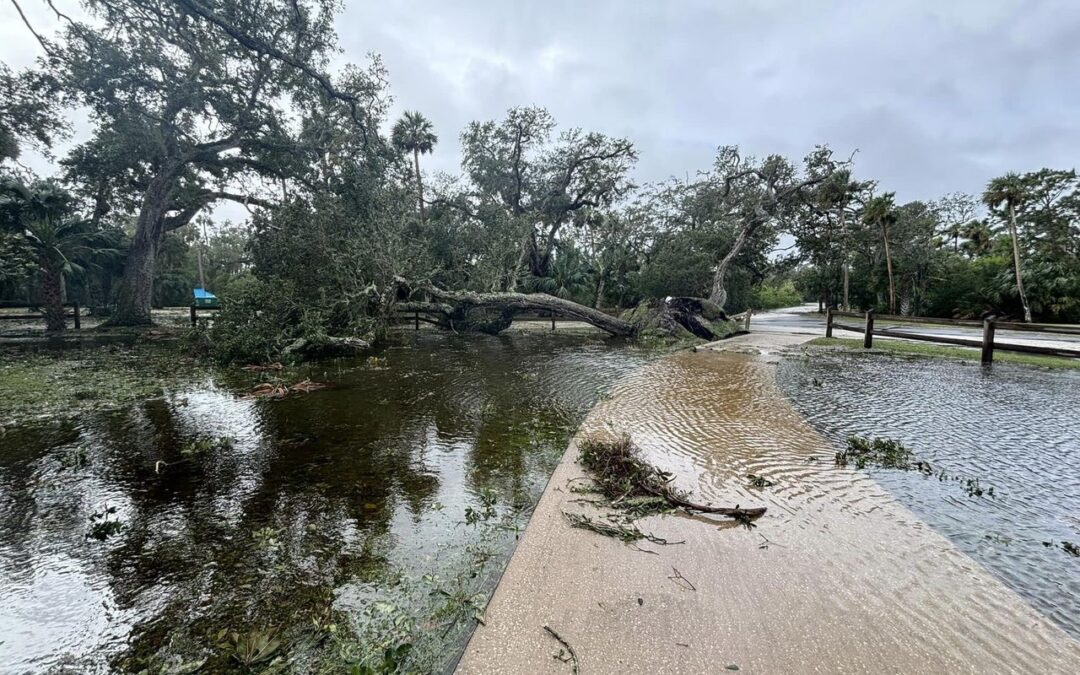 Flagler County officials urge residents to remain off roads in Hurricane Milton aftermath