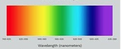 A color spectrum ranging from red to violet The wavelength in nanometers is labeled below as follows: (red), (orange), (yellow), (green), (cyan), (blue), (violet)