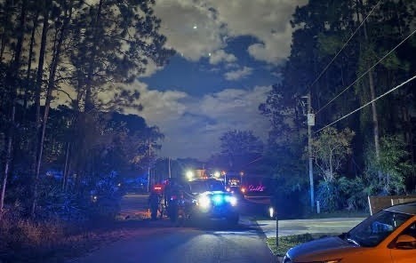 Nighttime scene of a road lined with trees, illuminated by the flashing blue and red lights of several emergency vehicles Clouds partially cover the sky, and a parked orange vehicle is visible on the right side of the image