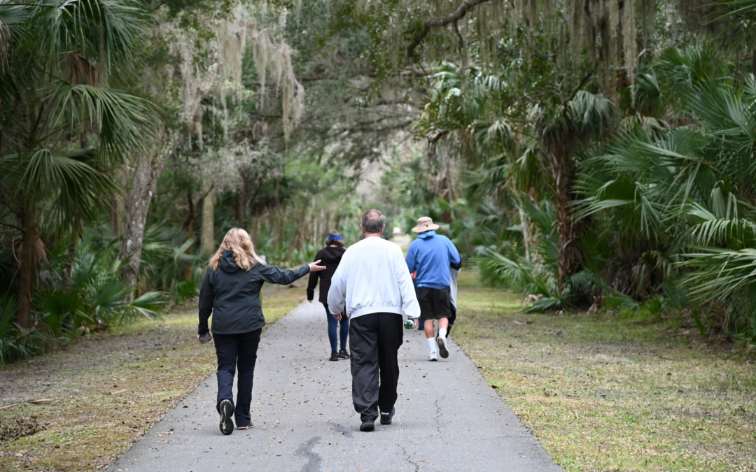 A group of people walking on a paved path through a lush, green forest with hanging moss The individuals are dressed casually in jackets, and the scene appears peaceful and serene, with trees lining both sides of the pathway