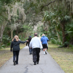 A group of people walking on a paved path through a lush, green forest with hanging moss The individuals are dressed casually in jackets, and the scene appears peaceful and serene, with trees lining both sides of the pathway