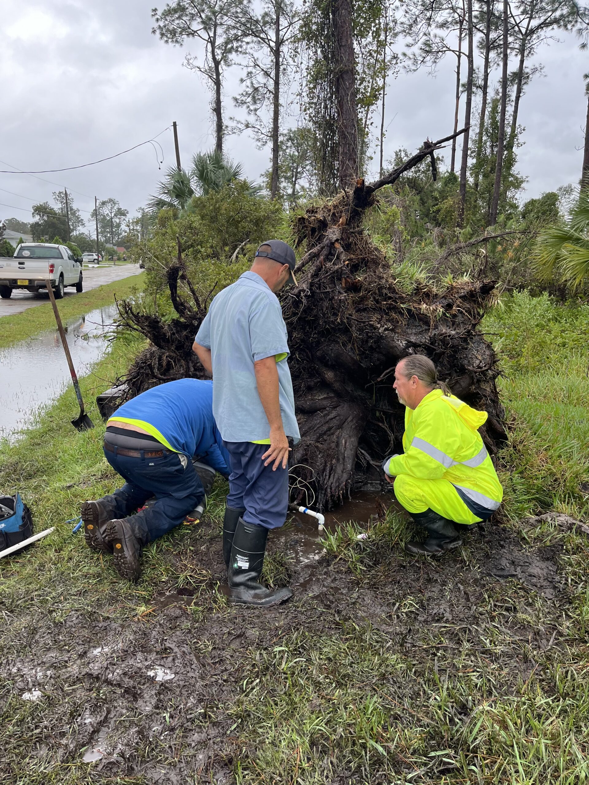 Three men in rain gear examine the exposed roots of an uprooted tree near a roadside The ground is wet and muddy, reflecting recent heavy rainfall A utility truck is parked nearby