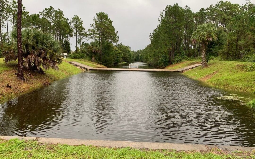 A serene canal with calm water surrounded by lush green grass and pine trees Overcast sky adds a peaceful atmosphere to the scene