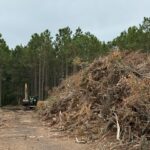 A dirt pathway leads to a pile of branches and debris on the right, with a small excavator working nearby Tall pine trees line the left side, under a cloudy sky