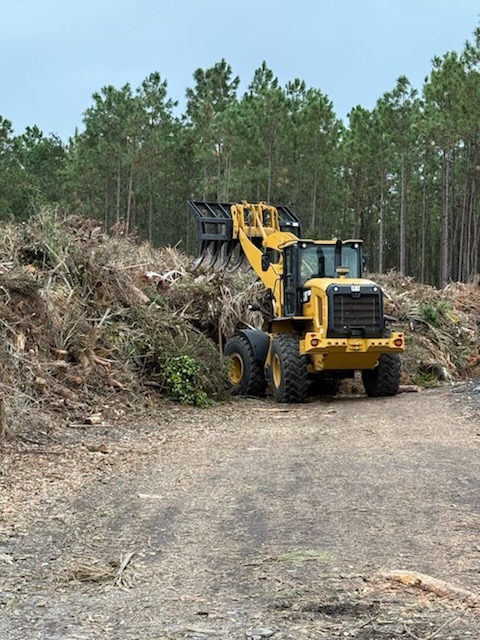 A yellow bulldozer is moving a pile of debris and branches in a clearing surrounded by tall trees The sky is cloudy, and the ground is covered with dirt and small plants