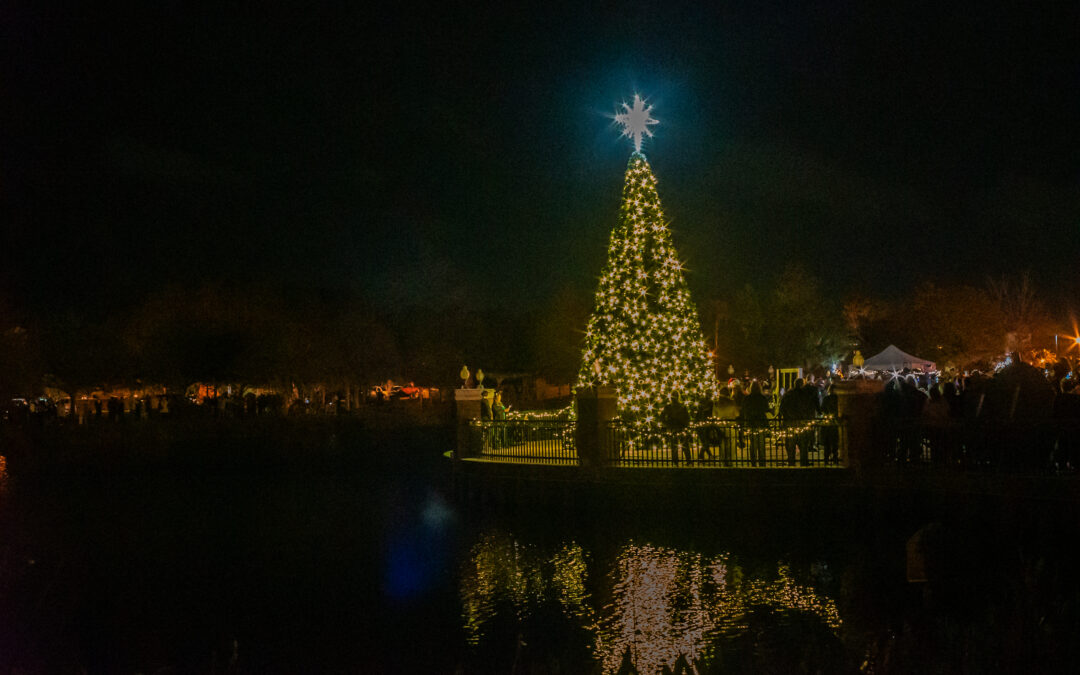 Lighting Up the Season: Town Center Tree Lighting Celebration