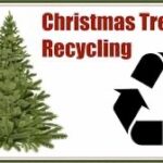 Illustration of a Christmas tree next to a large recycling symbol The text "Christmas Tree Recycling" appears in red above the symbols The background is plain white with a thin green border