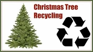 Illustration of a Christmas tree next to a large recycling symbol The text "Christmas Tree Recycling" appears in red above the symbols The background is plain white with a thin green border