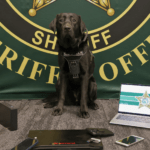 A black lab wearing a vest sits in front of a "Sheriff" banner In front of the dog are electronic items including laptops, a smartphone, and an external hard drive A laptop screen displays a sheriff star and stripes