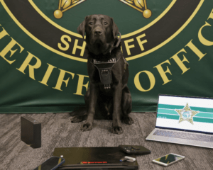 A black lab wearing a vest sits in front of a "Sheriff" banner In front of the dog are electronic items including laptops, a smartphone, and an external hard drive A laptop screen displays a sheriff star and stripes